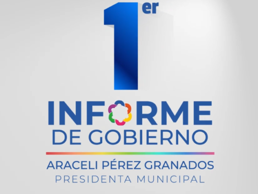 Thumbnail for the post titled: Primer Informe de Gobierno
